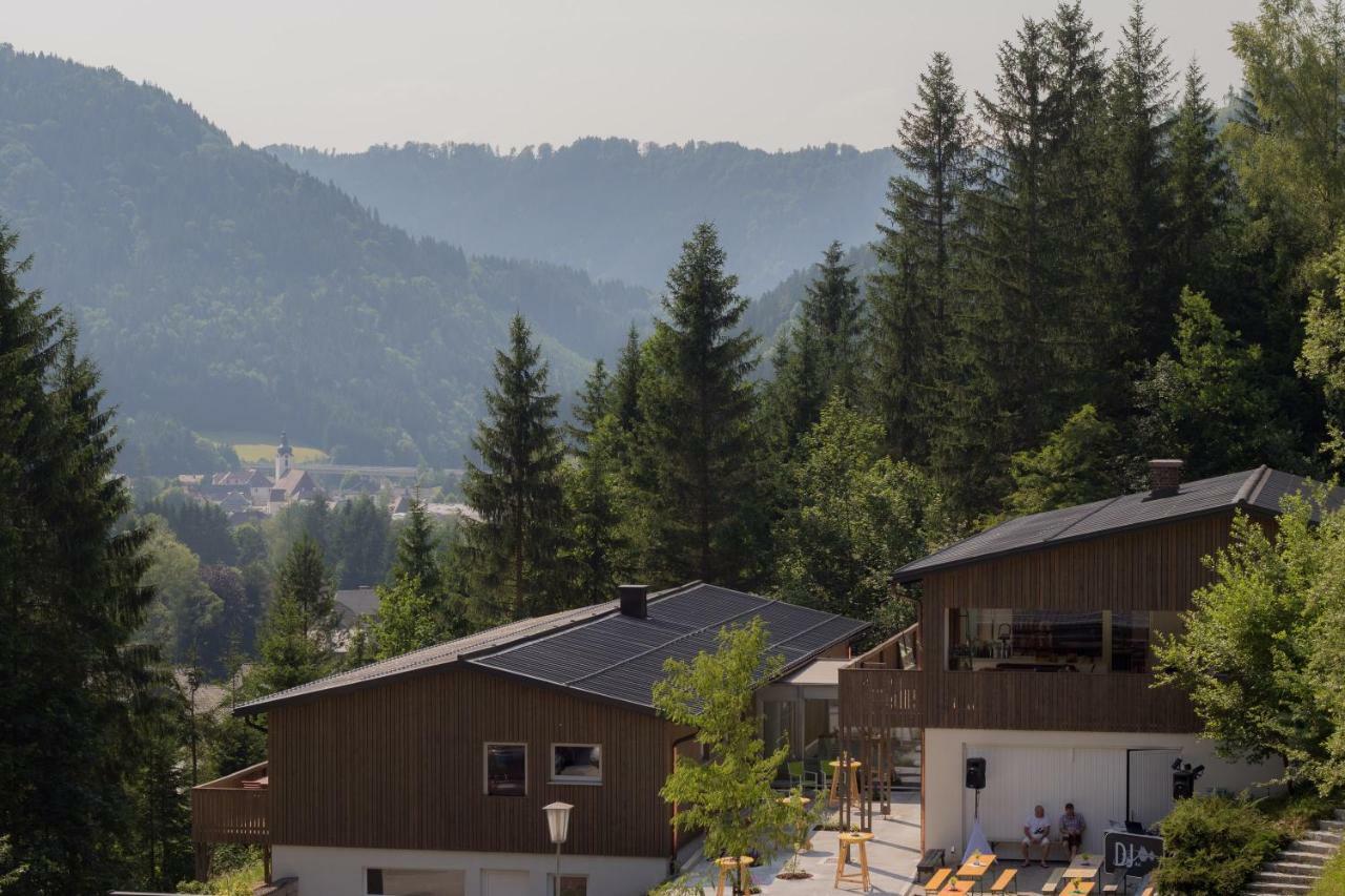 Apartament Bienenkunde Lunz Lunz am See Zewnętrze zdjęcie